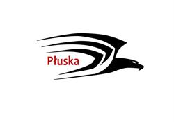 P.P.U.H. Płuska Mirosław