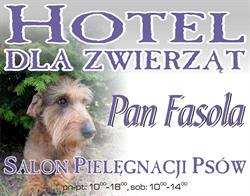 HOTEL DLA ZWIERZĄT PAN FASOLA