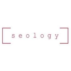 Pozycjonowanie Gliwice Seology Sp. z o.o., Agencja SEO