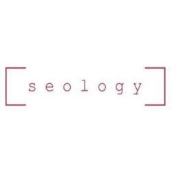 Pozycjonowanie Gliwice Seology Sp. z o.o., Agencja SEO