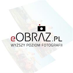 eOBRAZ.pl