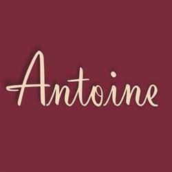 Antoine. Salon urody