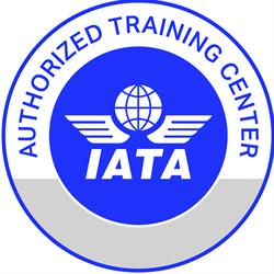 Aviation Consulting