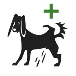 Przychodnia Weterynaryjna Na Warszewie