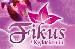 Kwiaciarnia Fikus