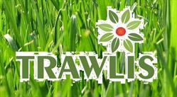 Trawlis