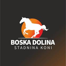 Boska Dolina JAZDA KONNA, OBOZY KONNE, AGROTURYSTYKA, SOKOLE GNIAZDO