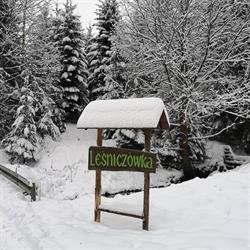 Pensjonat Leśniczówka Zieleniec