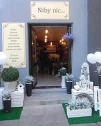 Galeria "Niby Nic"