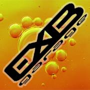 F.H.U. exb garage