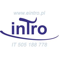 INTRO usługi informatyczne - biegły, ekspert w odzyskiwanu danych