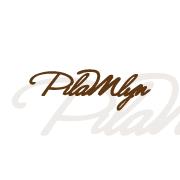 Piła Młyn