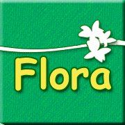 Flora. Kwiaciarnia