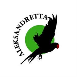 Aleksandretta