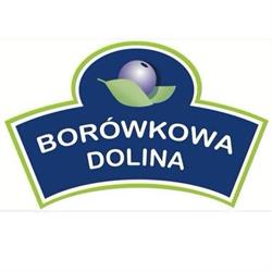 BORÓWKOWA DOLINA