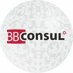 BB CONSUL