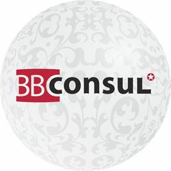 BB CONSUL