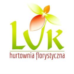 LUK /// HURT IMPORT EXPORT MACIEJ PRZYWARSKI