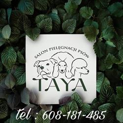 TAYA Profesjonalny Salon Pielęgnacji Psów Ochla / Zielona Góra