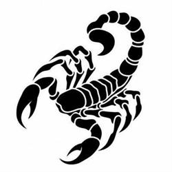 Zajazd Skorpion