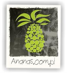 Studio Reklamy Ananas