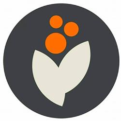 Kwiaty Paniówki