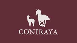 Coniraya - hodowla alpak i ośrodek jeździecki