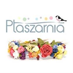 Ptaszarnia