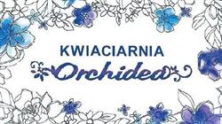 Kwiaciarnia Orchidea