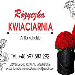 Kwiaciarnia Różyczka