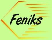 Fundacja FENIKS