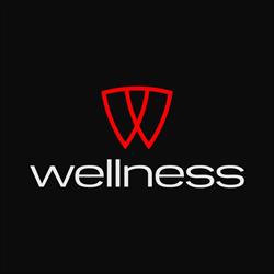 Wellness Car Auto Detailing - Arkadiusz Danielak