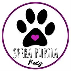 Sfera Pupila