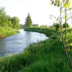 Spływy kajakowe Drzewiczką