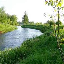 Spływy kajakowe Drzewiczką