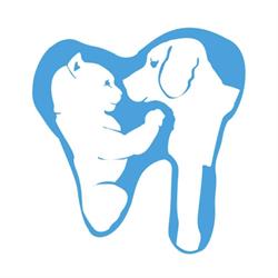 Gabinet weterynaryjny Centrum Stomatologii Psa i Kota Animaldent
