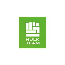 Hulk Team Police