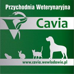 Przychodnia weterynaryjna "Cavia"