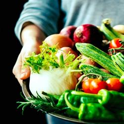 Vegito Dostawca Świeżej Żywności