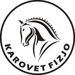 Ośrodek zoofizjoterapii zwierząt i nauki jazdy konnej Karovet Fizjo