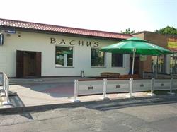 Bachus