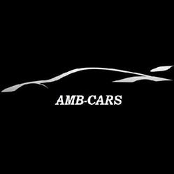 AMB-CARS Łukasz Wilczynski