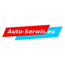 Auto-Serwis.EU Regeneracja wtryskiwaczy filtrów cząstek stałych DPF FAP