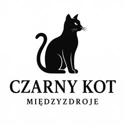 Czarny Kot