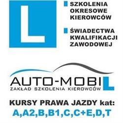 Auto-Mobil OSK Zasadziński Henryk