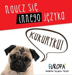 Europa sp. jawna Schuster i Tomczak