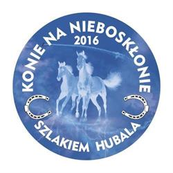 Stajnia "Konie na nieboskłonie"