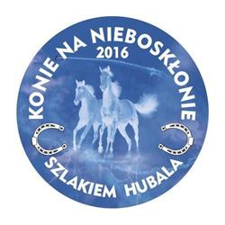 Stajnia "Konie na nieboskłonie"