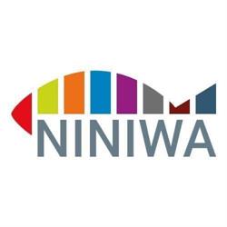 Oblackie Centrum Młodzieży NINIWA