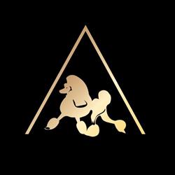 Psi Fryzjer i Groomer - Ambernova